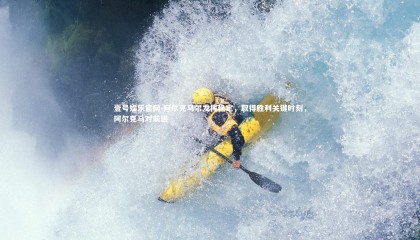 壹号娱乐官网-阿尔克马尔发挥稳定，取得胜利关键时刻，阿尔克马对前进