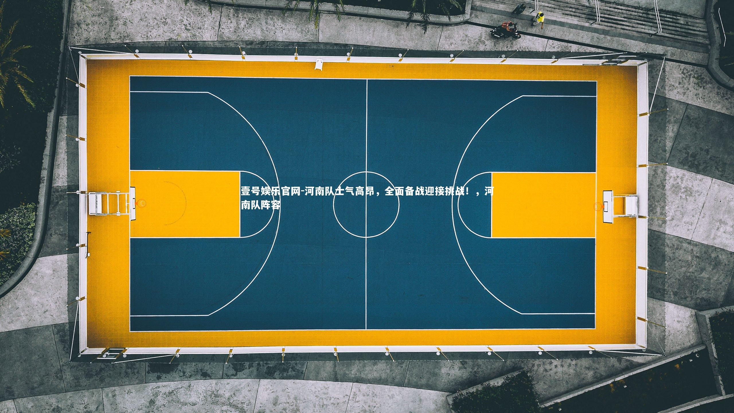 河南队士气高昂,全面备战迎接挑战!,河南队阵容